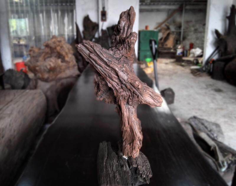 根雕原木 天然树根摆件 天然鬼斧神功 生态造型 阴沉红椿木摆件