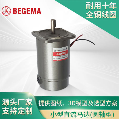 BEGEMA直流马达电动机微型12/24V