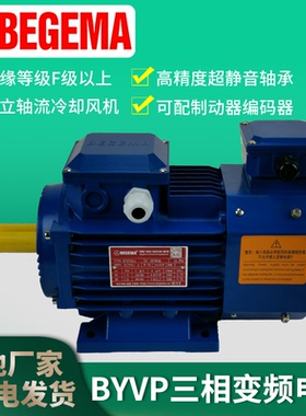 南京BEGEMA BYVP71B2-550W0.75KW1.1KW变频调速立卧式B5铝壳电机