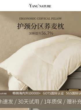 分区荞麦枕头荞麦壳护颈椎助睡眠科学成人专用家用侧睡枕芯硬枕头