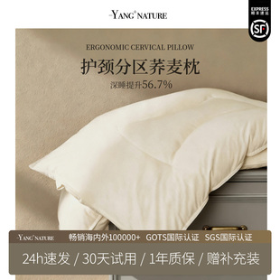 分区荞麦枕头荞麦壳护颈椎助睡眠科学成人专用家用侧睡枕芯硬枕头