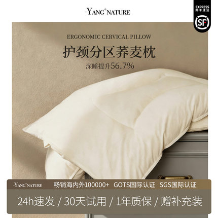 分区荞麦枕头荞麦壳护颈椎助睡眠科学成人专用家用侧睡枕芯硬枕头