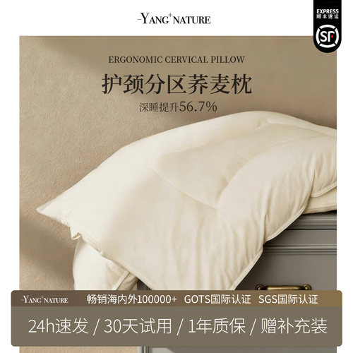 分区荞麦枕头护颈椎助睡眠