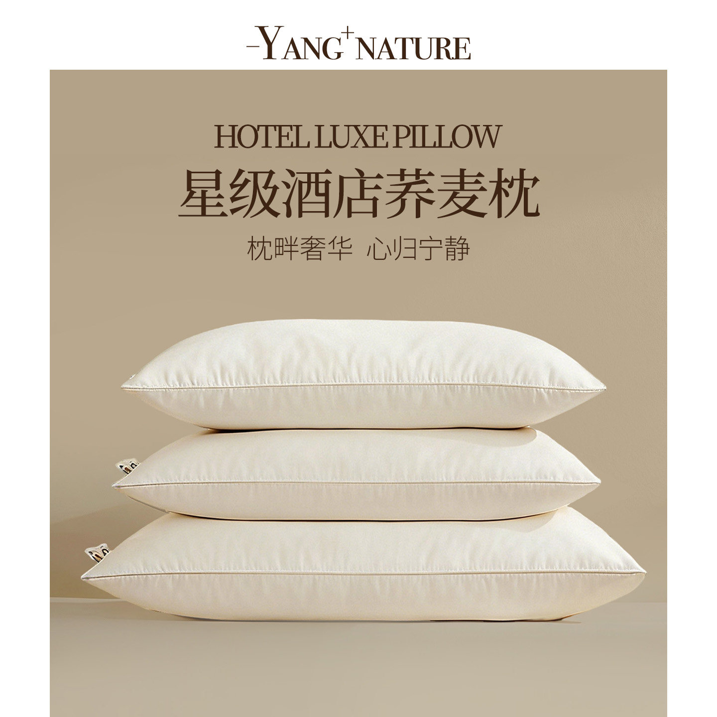 氧家荞麦枕头枕芯一对五星级酒店枕头护颈椎助睡眠专用成人荞麦壳
