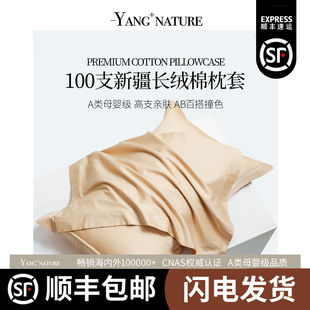 2025新款 48cmx74cm枕巾 高级感100支长绒棉枕套纯棉全棉单只一对装