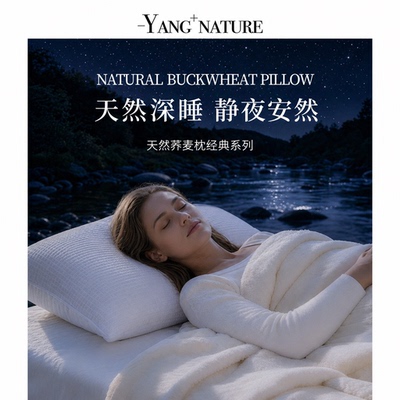 氧家荞麦枕头皮壳荞麦枕透气夏天颈椎专用枕芯带枕套一只装支撑枕