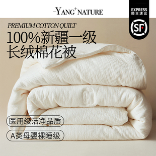 被子 全棉夏季 氧家新疆棉花春秋被子被芯棉被冬被加厚保暖冬季 四季