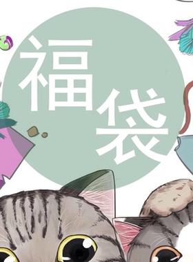 手机壳福袋盲盒随机2个装