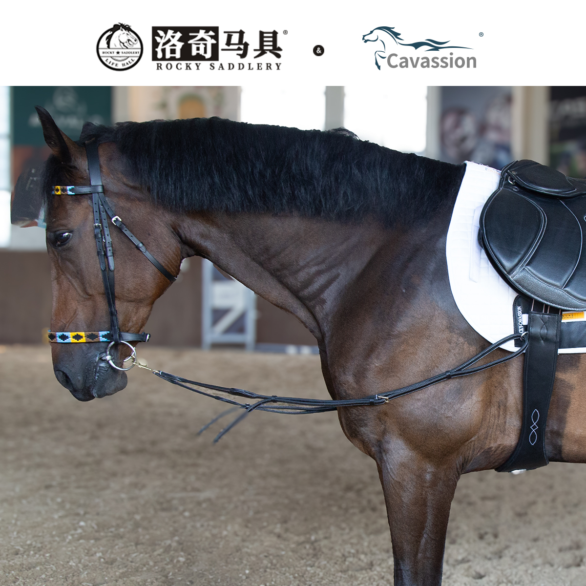 CAVA-牛皮弹力侧缰 调教训练马匹 辅助纠正姿势马术骑马8214046