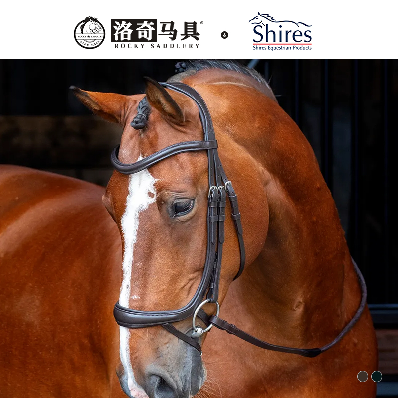 英国Shires水勒缰马具