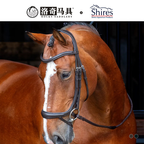 英国Shires水勒缰马具