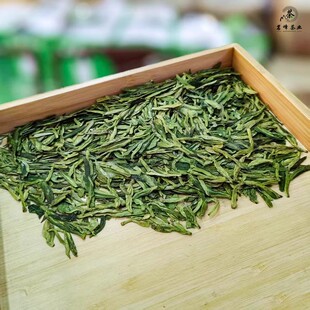 2025年明前新茶叶浙江绿茶散装遂昌春龙井豆香清甜50克125克250克