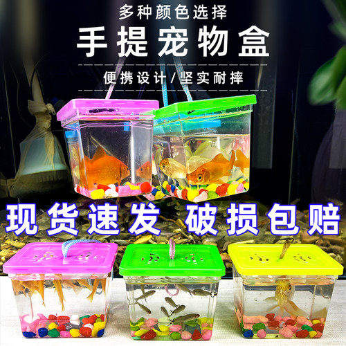 透明塑料斗鱼杯带提手方盒小鱼瓶