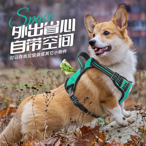 【防爆冲】狗狗胸背牵引绳遛狗