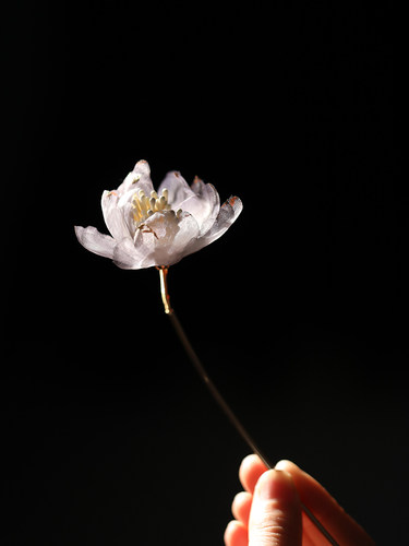 陌小墨发簪烫花古风发饰