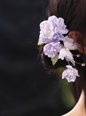 唐风发饰女优雅紫色蝴蝶花朵边夹森系仙美汉服配饰古风头饰新中式