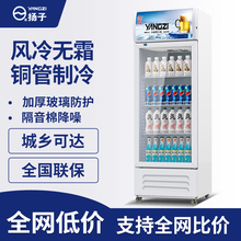 扬子单门啤酒展示柜饮料冷藏超市冰柜商用冰箱双门立式保鲜冷柜