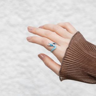 宝可梦z手环精灵宝可梦口袋妖怪周边哈克龙戒指s925银指环送男女