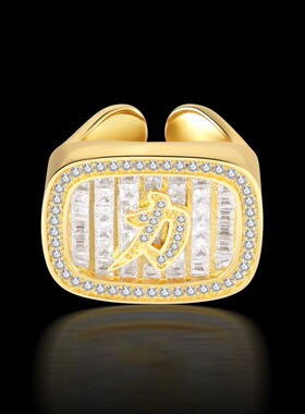 NICEPOWER 永力兄弟会联名 Lit Ring戒指