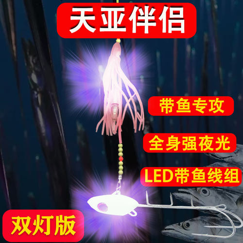 带夜光天亚伴侣带鱼钩天亚定饵针