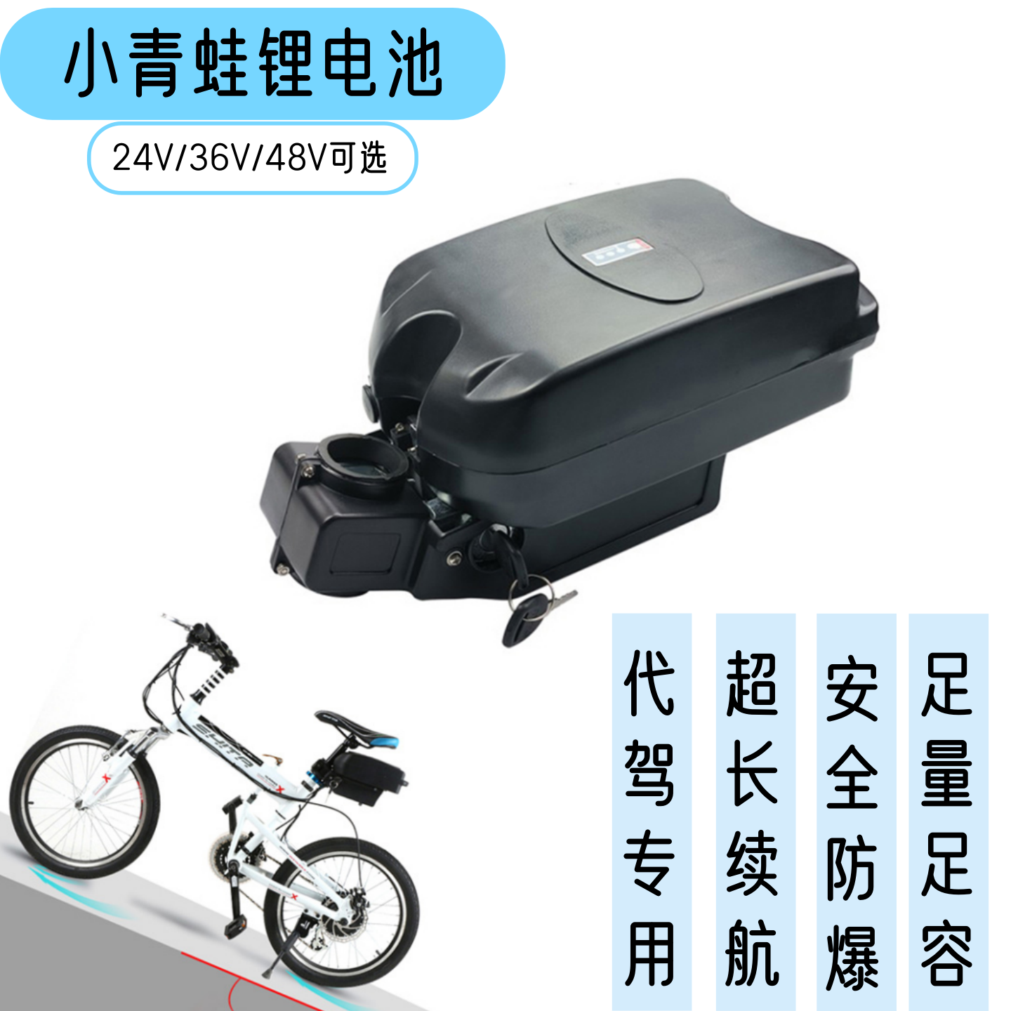 新国标24V36伏48v锂电池