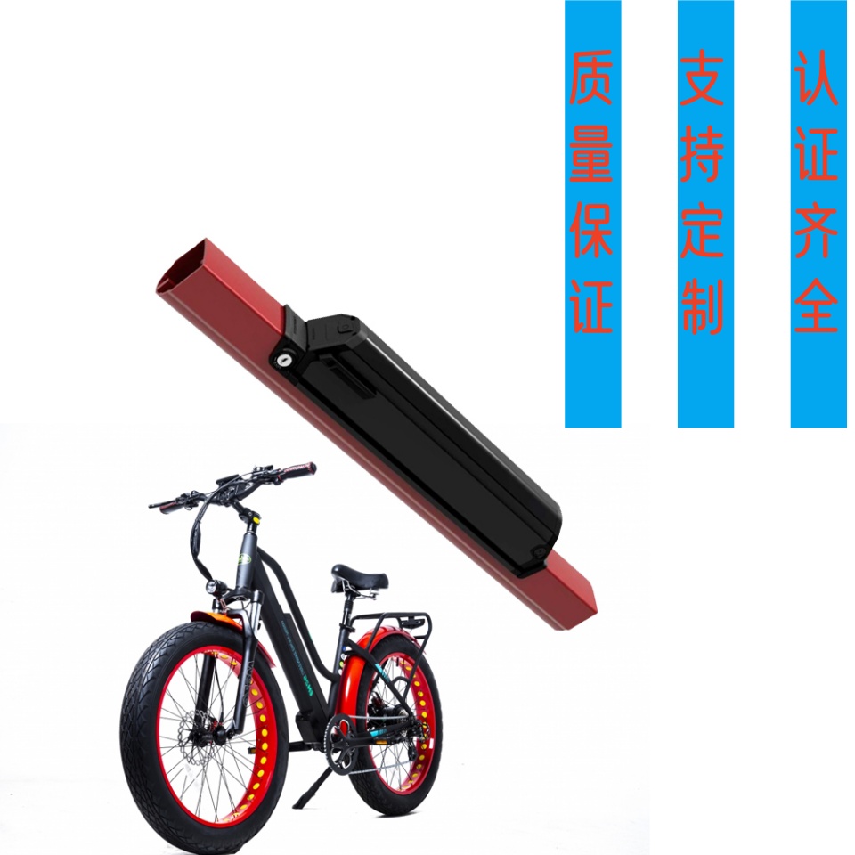 定制48V24AH剑鱼厂家直供山地车