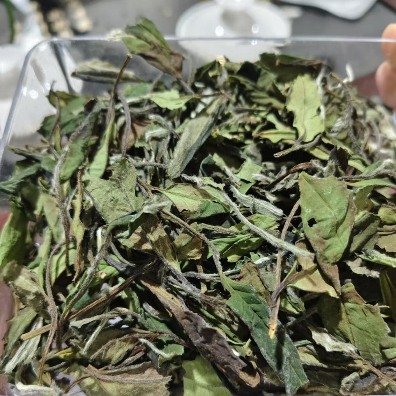 甜香寿眉/2024年福鼎白茶/250克袋装