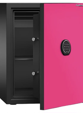 原装进口韩国得宝WS700家用电子密码防火保险箱保险柜