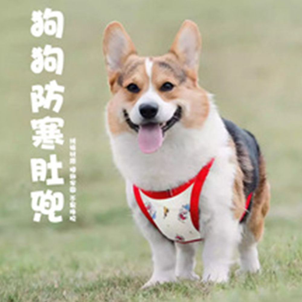 宠物纯棉狗肚兜防脏猫咪护肚金毛泰迪比熊小中大型犬保暖睡衣