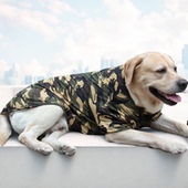 透气金毛拉布拉多泰迪柴犬迷彩大中小型犬 薄款 狗狗衣服秋夏季 短袖