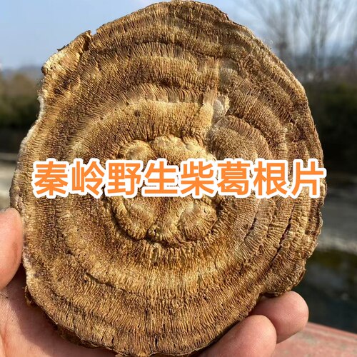 野生柴葛根年轮片熬夜应酬护疏肝茶无硫熏葛根丁中老年养生茶正品