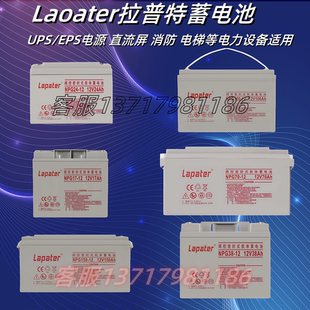 Lapater拉普特蓄電池NP65 12V7A12A17A24A33A38A65A100A150A200AH