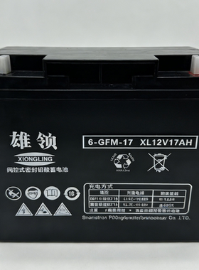 雄领蓄电池6-GFM-24 XL12V20AH 17AH UPS电源EPS直流屏阀控式电瓶