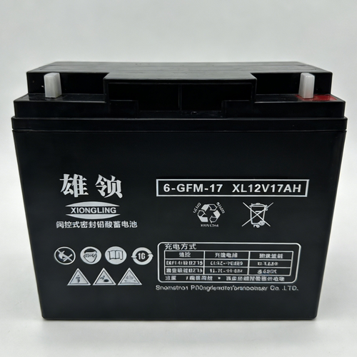 雄领蓄电池6-GFM-24 XL12V20AH 17AH UPS电源EPS直流屏阀控式电瓶