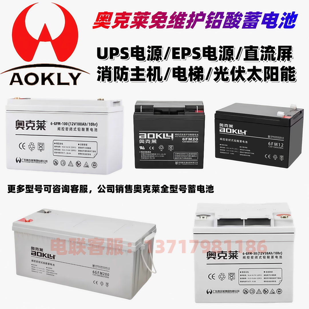 AOKLY奥克莱蓄电池储能电瓶