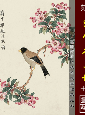 范煟没骨花鸟册微喷打印没骨工笔花鸟画小品临摹绢布画稿彩色底稿