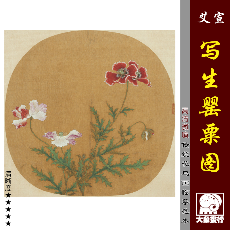 艾宣 写生罂粟图 传统工笔花鸟小品花卉册页微喷临摹绢布画稿底稿