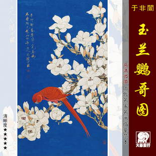 于非闇玉兰鹦哥图工笔花鸟画国画临摹范本中式装饰画艺术微喷画心