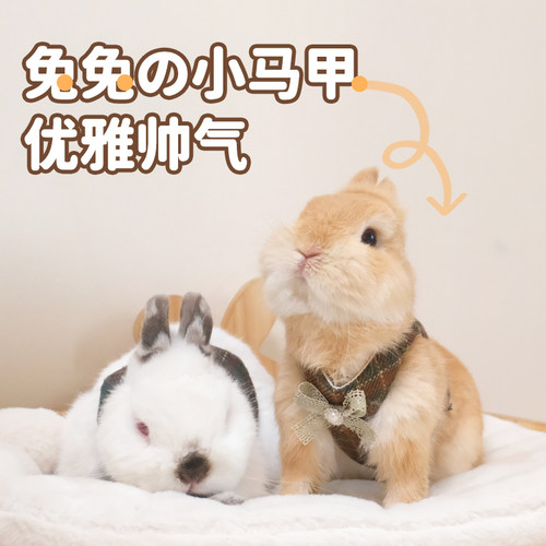 兔子王子马甲格子外出衣服