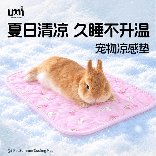 物理凉席消暑⭐改善宠物燥热趴喘