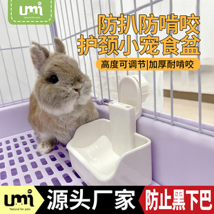UMI兔子食盆悬挂式 加厚防啃咬兔兔饭碗荷兰猪龙猫防打翻高颜值