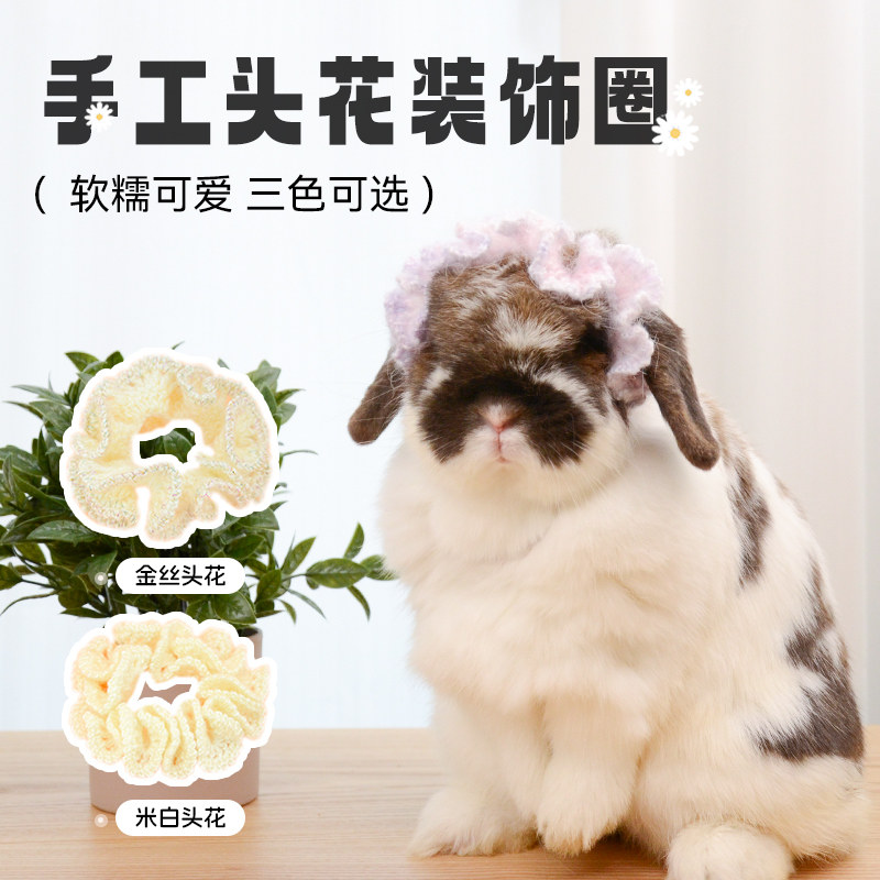 兔子可爱头花宠物服饰装饰用品外出装扮兔兔头饰时尚侏儒兔,宠物/宠物食品及用品,兔兔服饰,淘宝优惠券,粉丝福利购,淘宝优惠卷