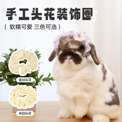 兔子可爱头饰宠物用品