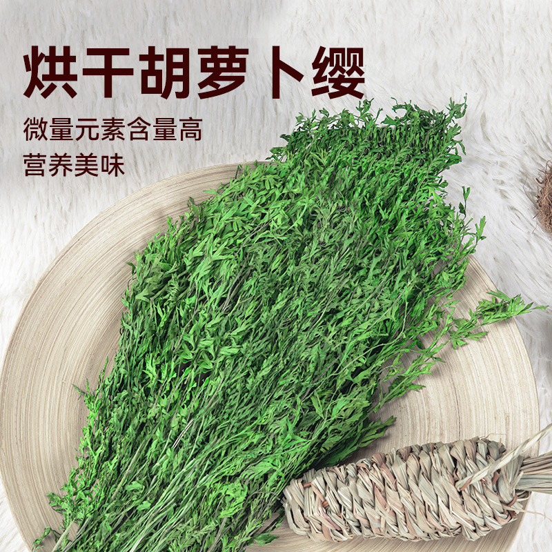 胡萝卜缨胡萝卜缨兔子龙猫干草