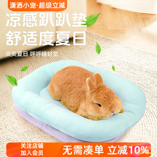 凉爽趴趴垫猫咪猪猪龙猫双面垫子小宠窝 宠物兔兔垫子凉感系列夏季