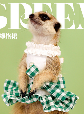 umi宠物裙子狐獴夏季格子裙绿色清新裙子小宠外出衣服可戴牵引绳