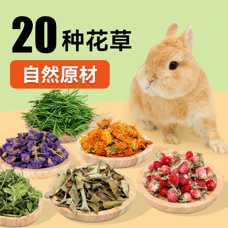 兔子零食保健花草助消化肠胃薄荷蒲公英金盏菊洋甘菊牧草龙猫豚鼠,宠物/宠物食品及用品,兔兔零食,淘宝优惠券,粉丝福利购,淘宝优惠卷