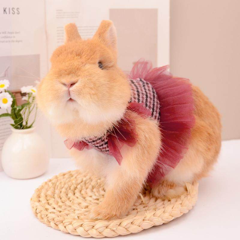 兔兔酒红网纱公主裙带牵引绳外出服饰可爱时尚兔子衣服垂耳兔侏儒,宠物/宠物食品及用品,狗宠物服装/雨衣,淘宝优惠券,粉丝福利购,淘宝优惠卷