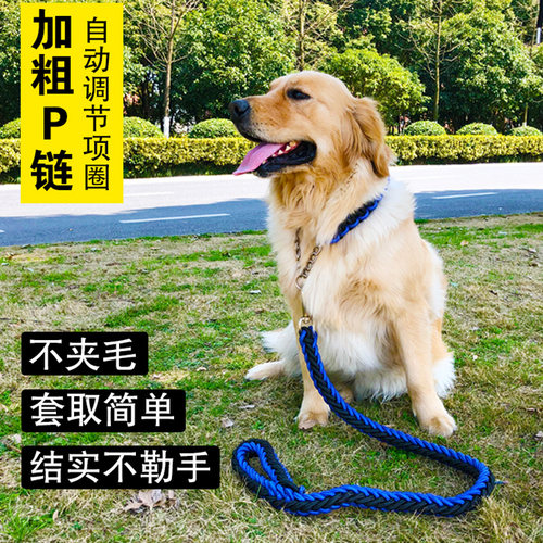 训狗中型牵引宠物用品p绳狗项圈