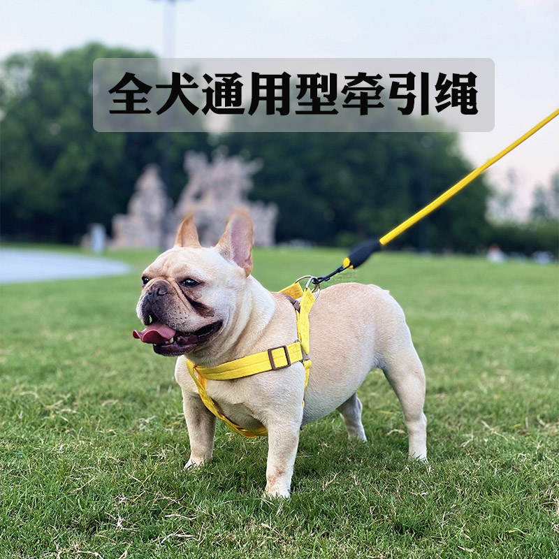 登冠猫狗牵引绳可调节不勒手